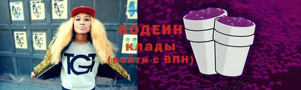 прущие грибы Кулебаки