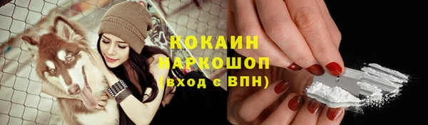 прущие грибы Кулебаки