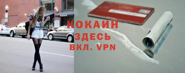 прущие грибы Кулебаки