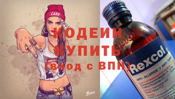 прущие грибы Кулебаки