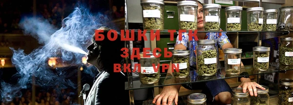 прущие грибы Кулебаки