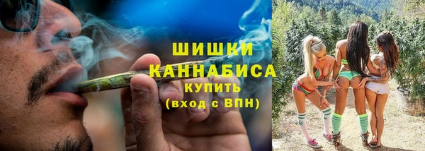 прущие грибы Кулебаки