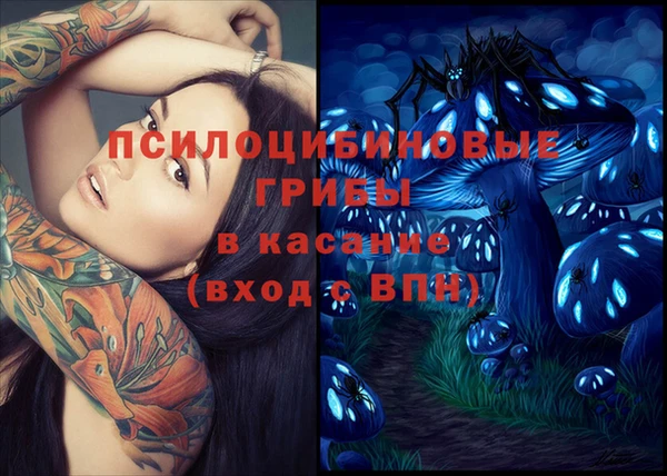 винт Куйбышев