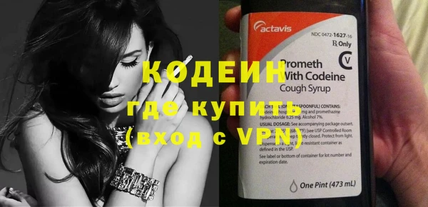 прущие грибы Лабытнанги